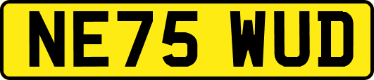 NE75WUD