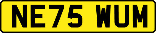 NE75WUM