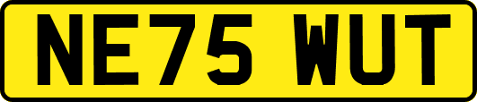 NE75WUT