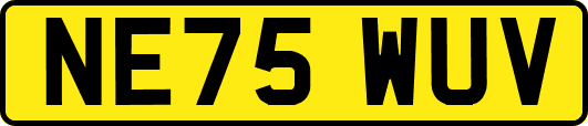 NE75WUV