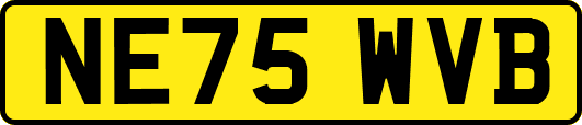 NE75WVB