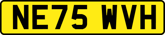 NE75WVH