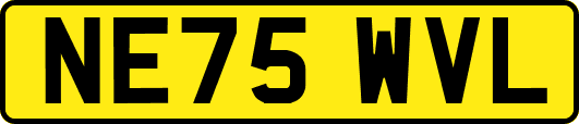 NE75WVL