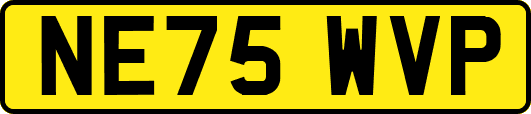 NE75WVP