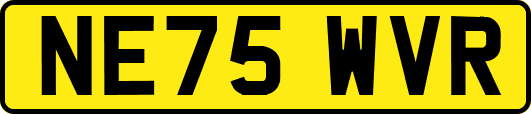 NE75WVR