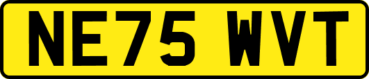 NE75WVT