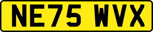 NE75WVX