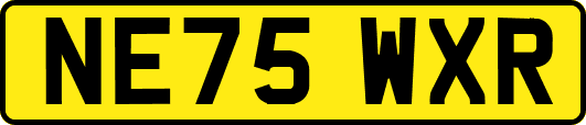 NE75WXR