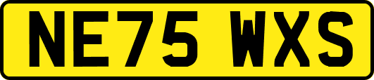 NE75WXS