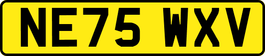 NE75WXV