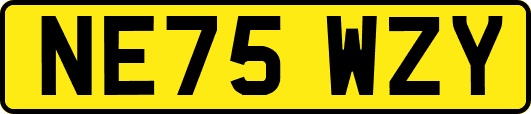 NE75WZY