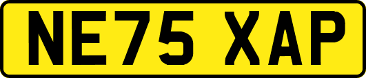 NE75XAP