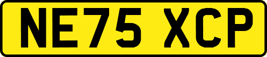 NE75XCP