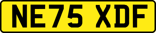 NE75XDF