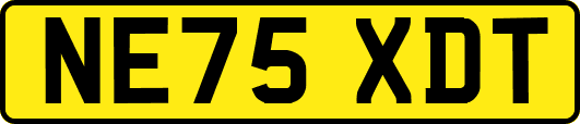 NE75XDT