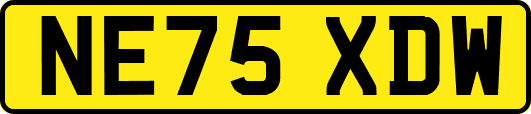 NE75XDW