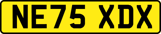 NE75XDX