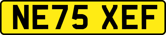 NE75XEF