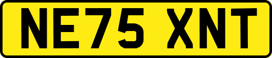 NE75XNT