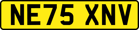 NE75XNV