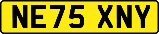 NE75XNY