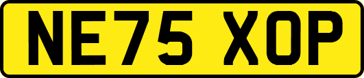 NE75XOP