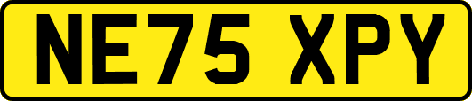 NE75XPY