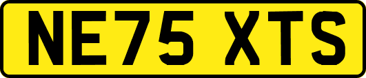 NE75XTS