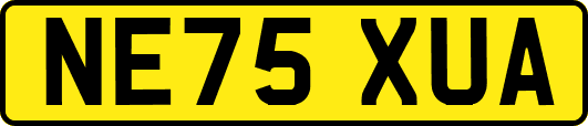 NE75XUA