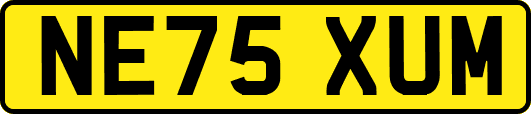 NE75XUM
