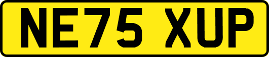 NE75XUP