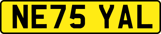 NE75YAL