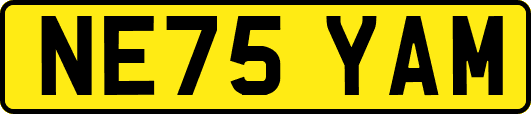 NE75YAM