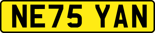 NE75YAN