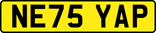 NE75YAP