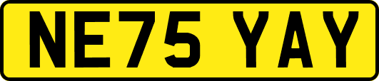 NE75YAY