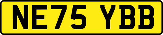 NE75YBB