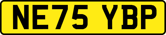 NE75YBP