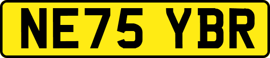 NE75YBR