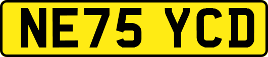 NE75YCD
