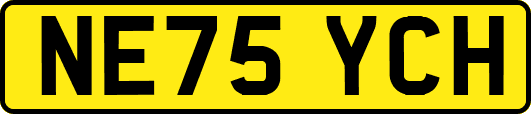 NE75YCH