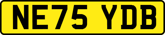 NE75YDB