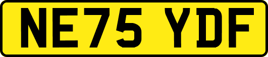 NE75YDF