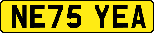 NE75YEA