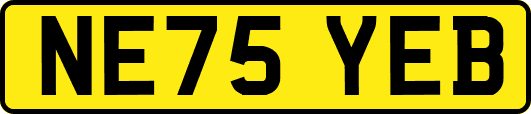 NE75YEB