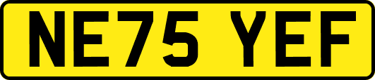 NE75YEF