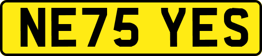 NE75YES