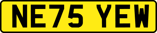 NE75YEW