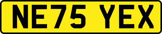 NE75YEX