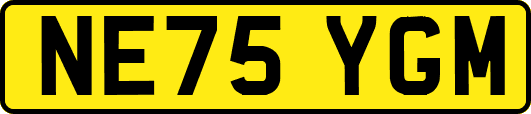 NE75YGM